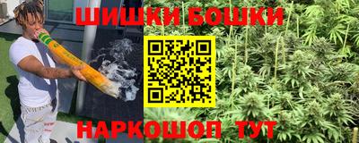 прущие крисы Кандалакша